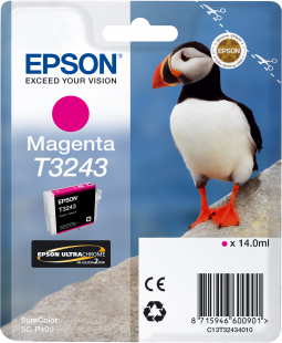 Original Epson Patronen T3243 (Puffin) Magenta 