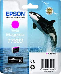 Original Epson Patronen Killer Wal T7603 Magenta 